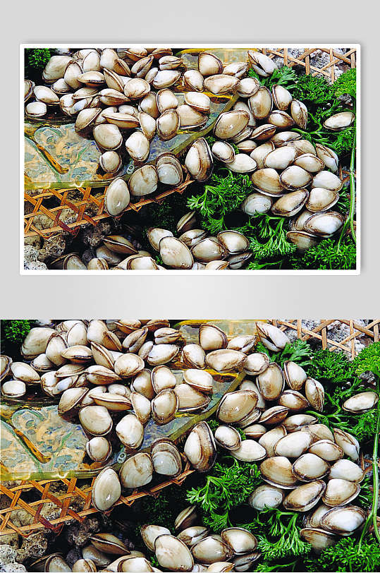 海鲜海瓜子食品高清图片