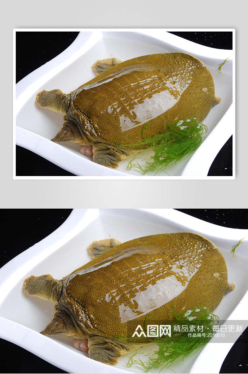 野生土甲鱼食品图片素材