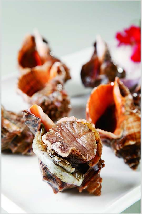海鲜海螺美食食物图片