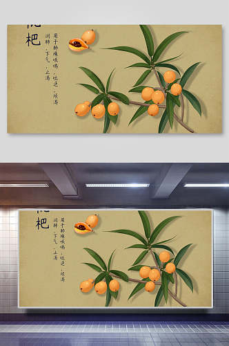 枇杷本草纲目中草药介绍展板