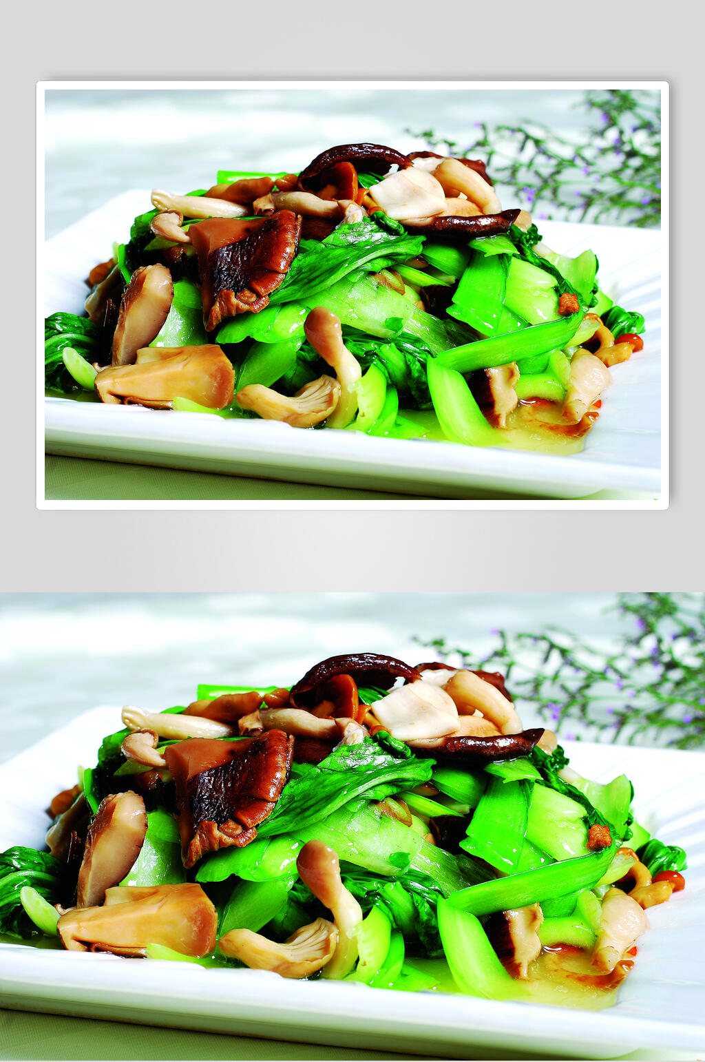 青菜炖四菇食物摄影图片素材