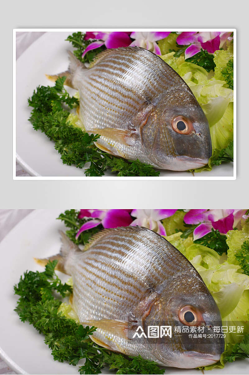 海立鱼餐饮食品图片素材