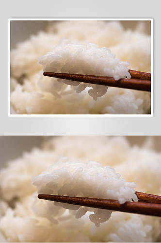 品质白米饭蒸米饭高清图片