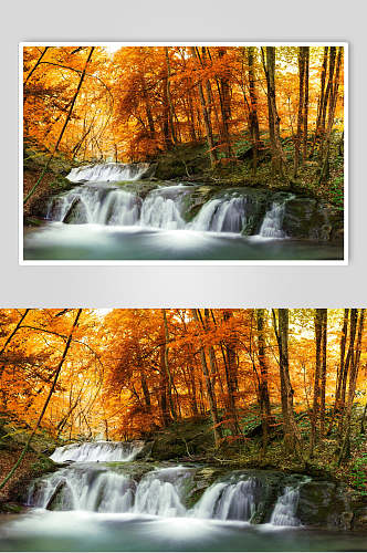 秋天落叶风景图片摄影视觉图两联普通森林