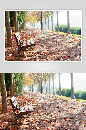 秋天落叶风景图片摄影视觉图长椅落叶