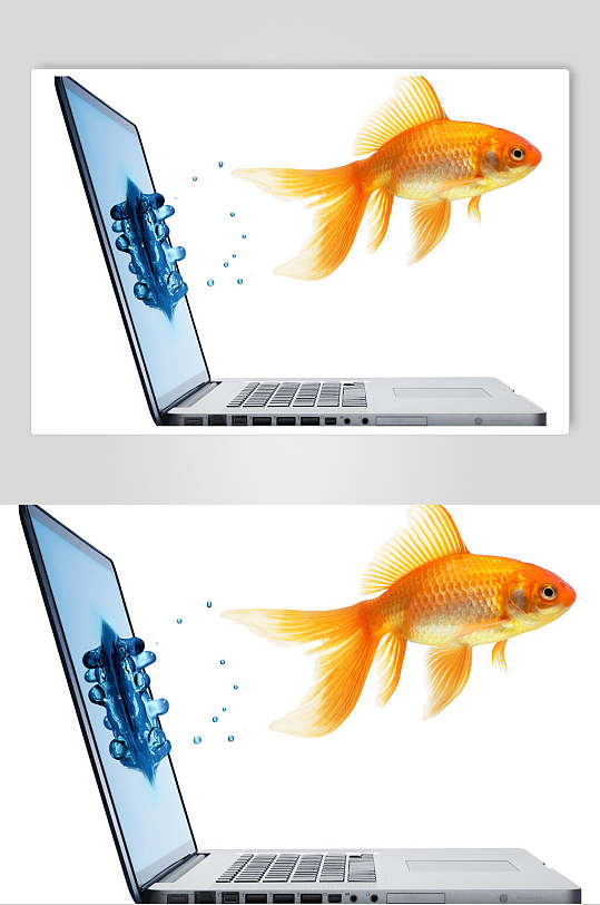 斗鱼图片屏保创意游出屏幕的鱼