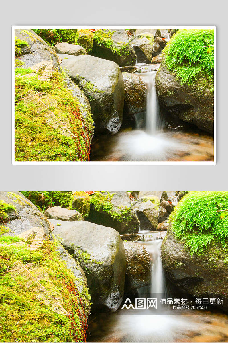 青苔流水原始森林图片素材