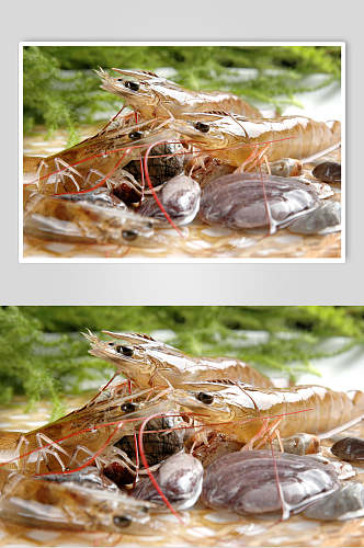 新鲜美味海鲜基尾虾美食图片