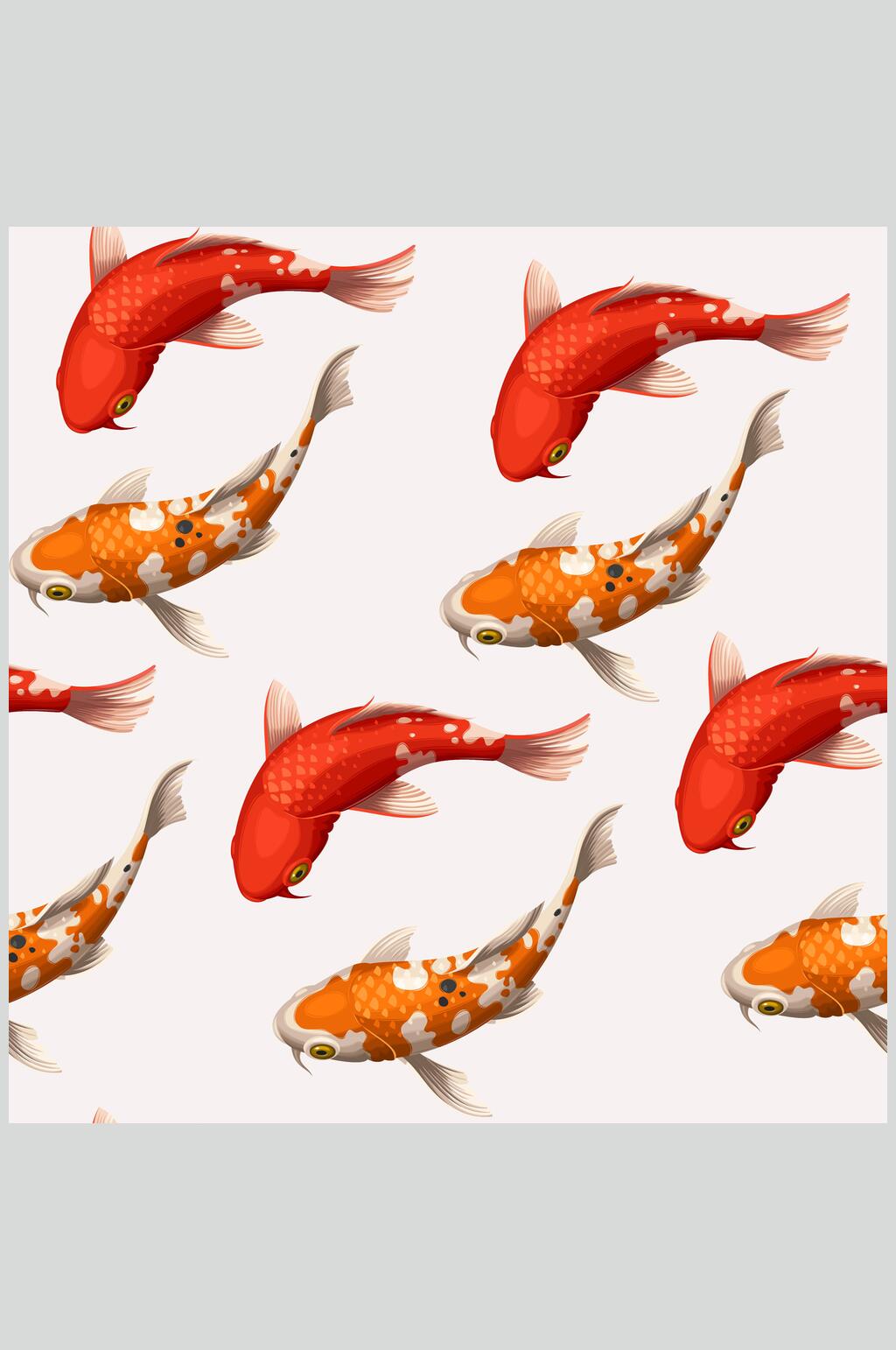 观赏鱼游图片素材