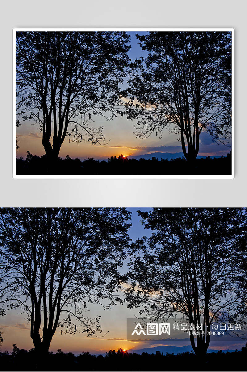 夕阳下原始森林图片素材