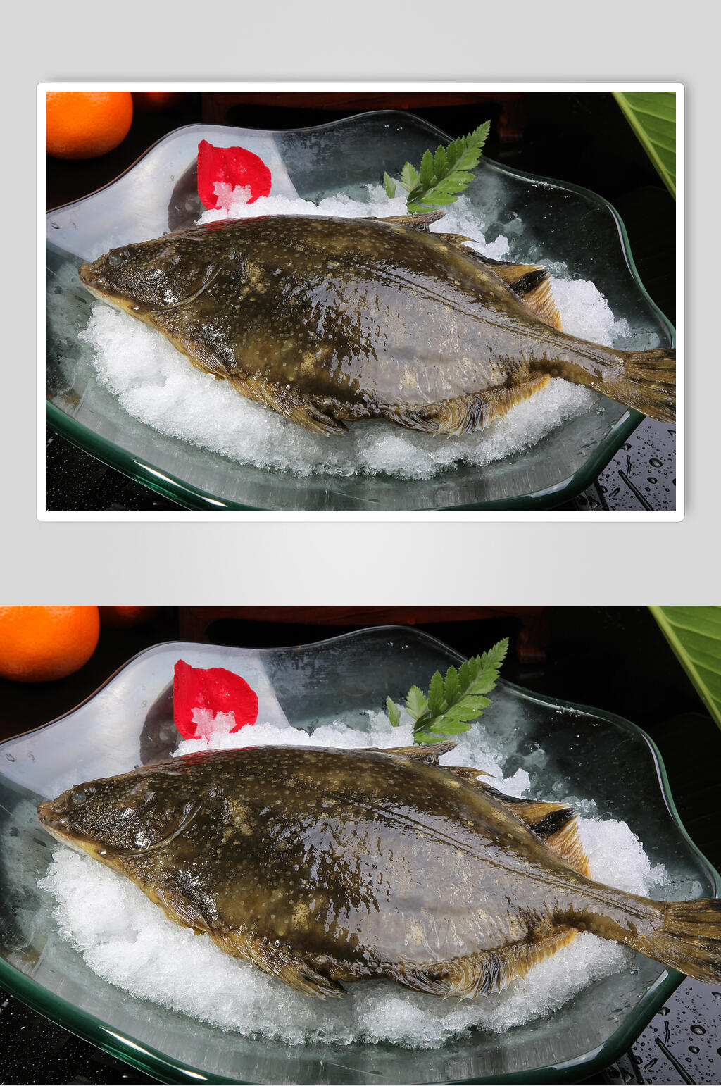 新鲜冰镇左口鱼美食食物图片素材