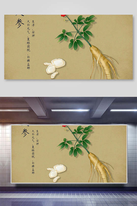 人参本草纲目中草药介绍展板