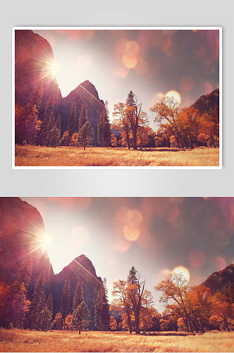 秋天落叶风景图片摄影视觉图两联阳光山峦