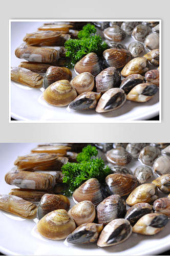 新鲜花甲海鲜菜海鲜拼美食摄影图片
