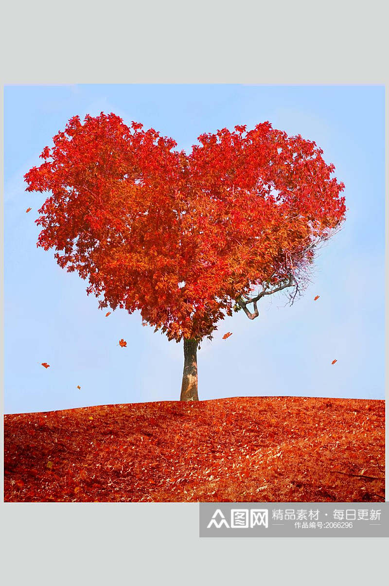秋天落叶风景图片红色心形树素材