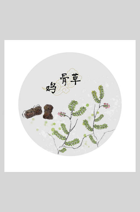 鸡骨草本草纲目中草药插画素材