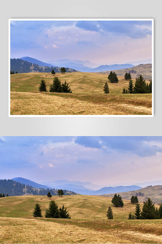 草地天空风景图片两联草原树木摄影图