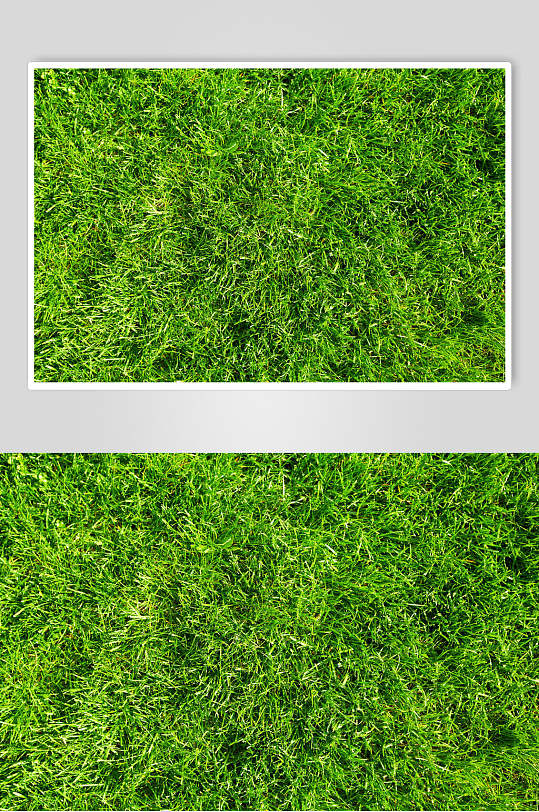 草地草坪图片两联草地特写摄影图