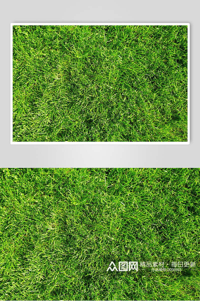 草地草坪图片两联草地特写摄影图素材