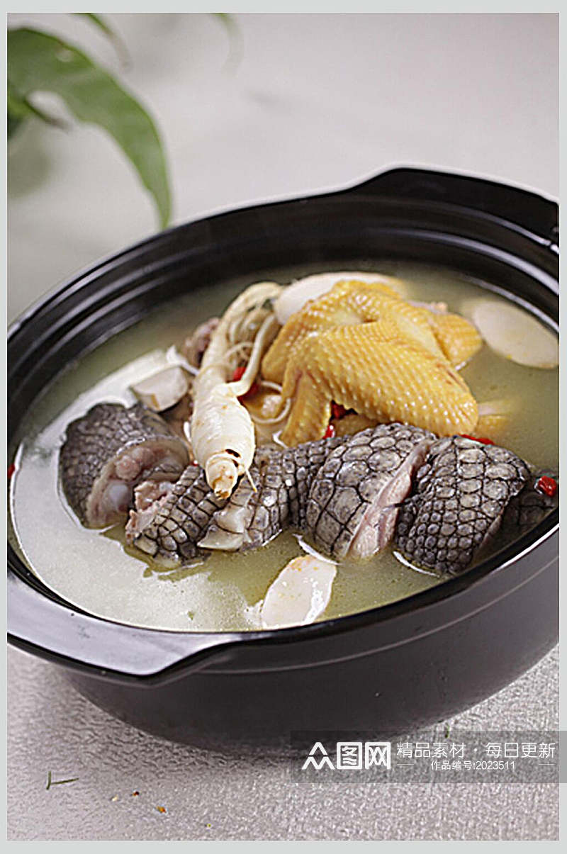 鲜人参炖鳄鱼掌美食摄影图片素材
