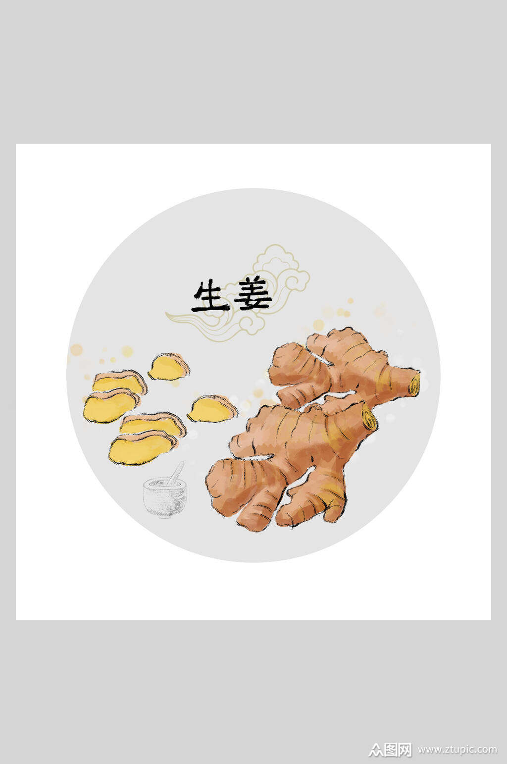 生姜本草纲目中草药插画素材素材
