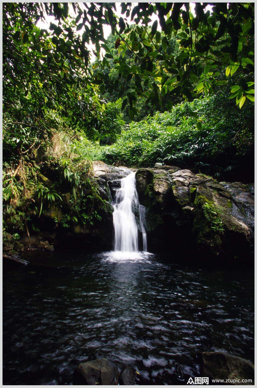众图网独家提供活水原始森林图片素材免费下载,本作品