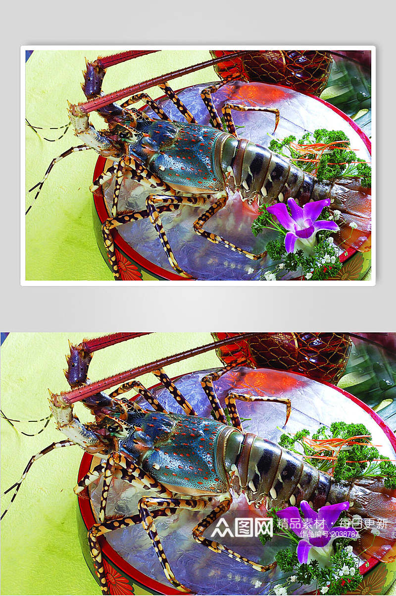 澳洲大龙虾刺身美食摄影图片素材