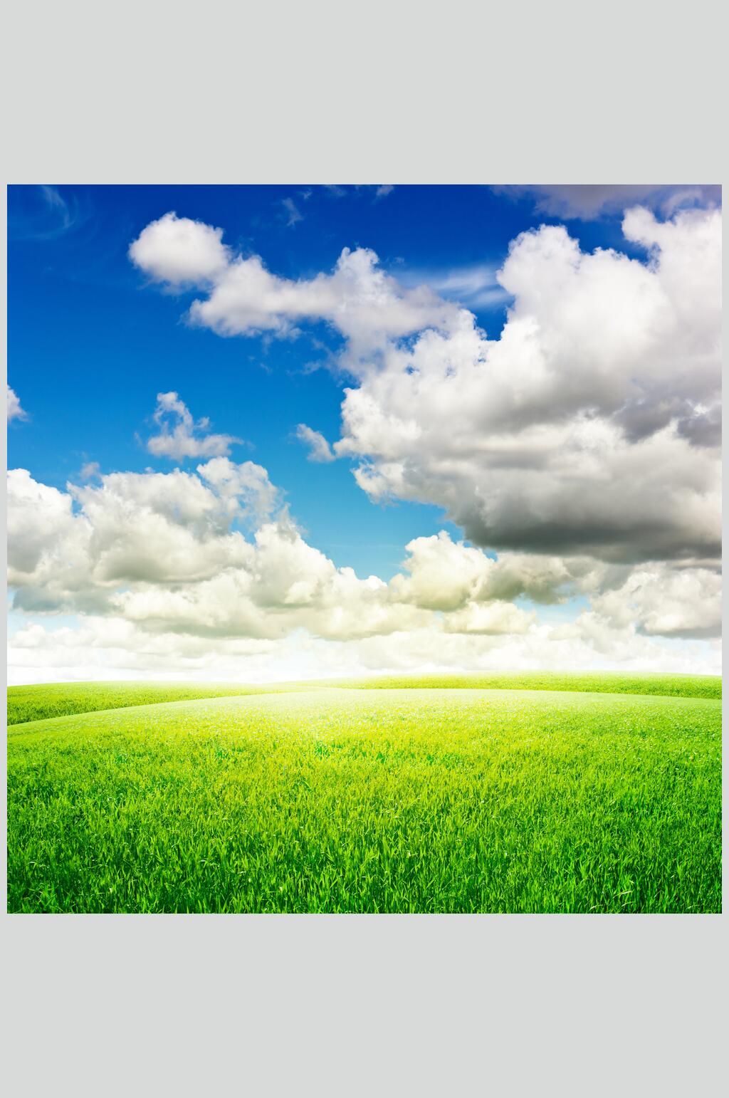 草地天空风景图片蓝天白云草地摄影图