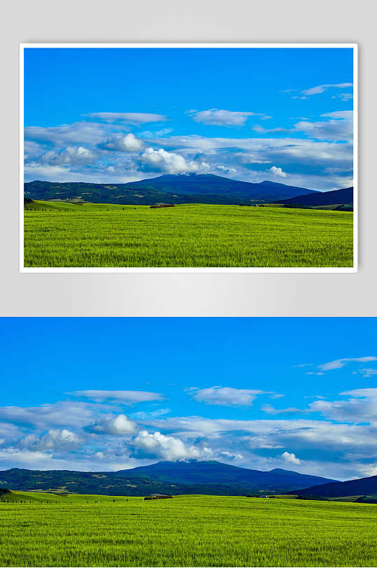 草地天空风景图片蓝天草原白云摄影图