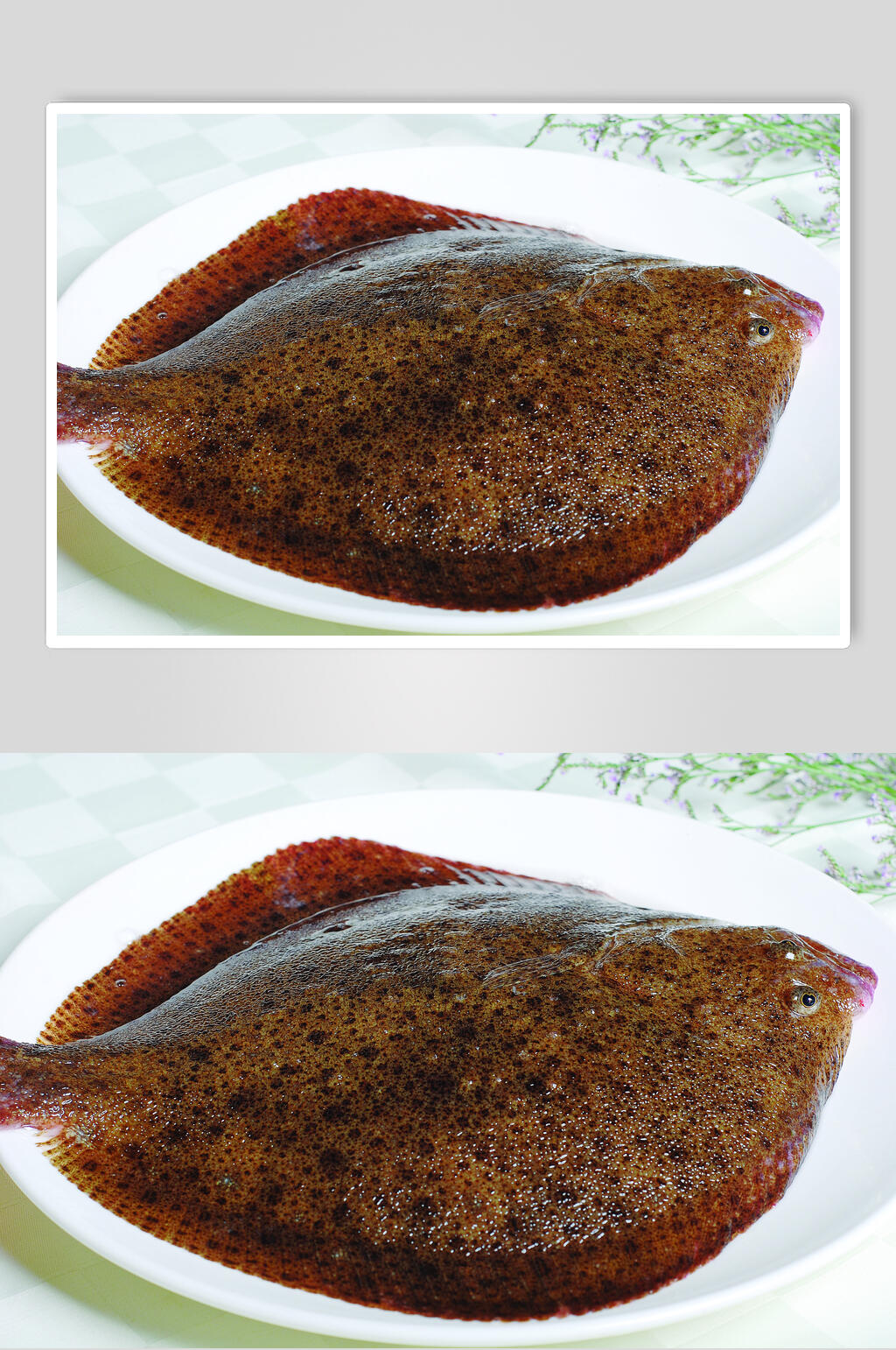 清蒸多宝鱼美食食物图片素材