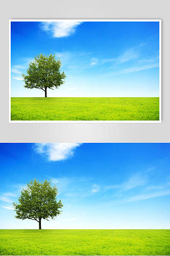 草地天空风景图片一颗树两联摄影视觉图