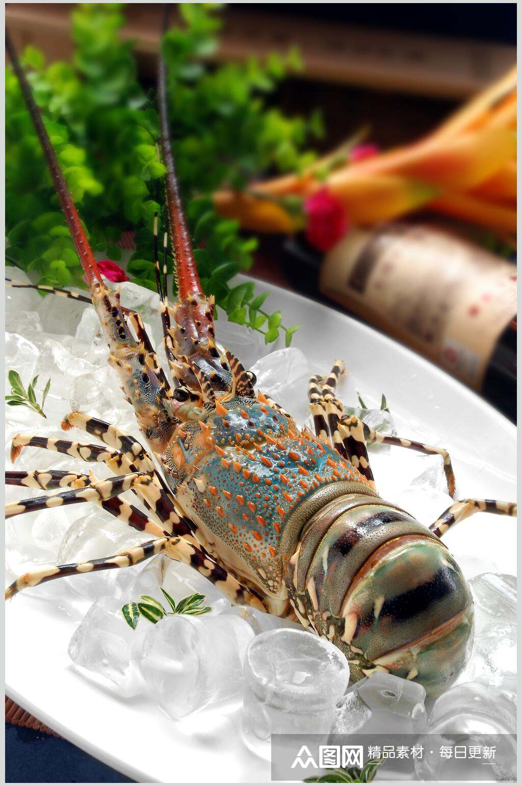 澳洲龙虾海鲜类食材摆盘摄影视觉