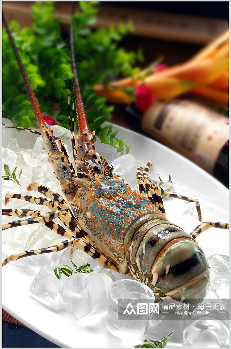 澳洲龙虾海鲜类食材摆盘摄影视觉素材