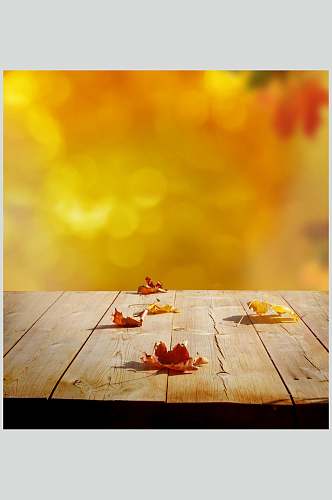 秋天落叶风景图片摄影视觉图落叶光影