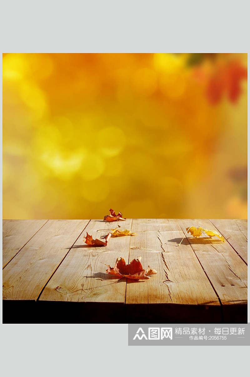 秋天落叶风景图片摄影视觉图落叶光影素材