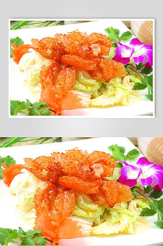大白菜炒蛰头美食摄影图片