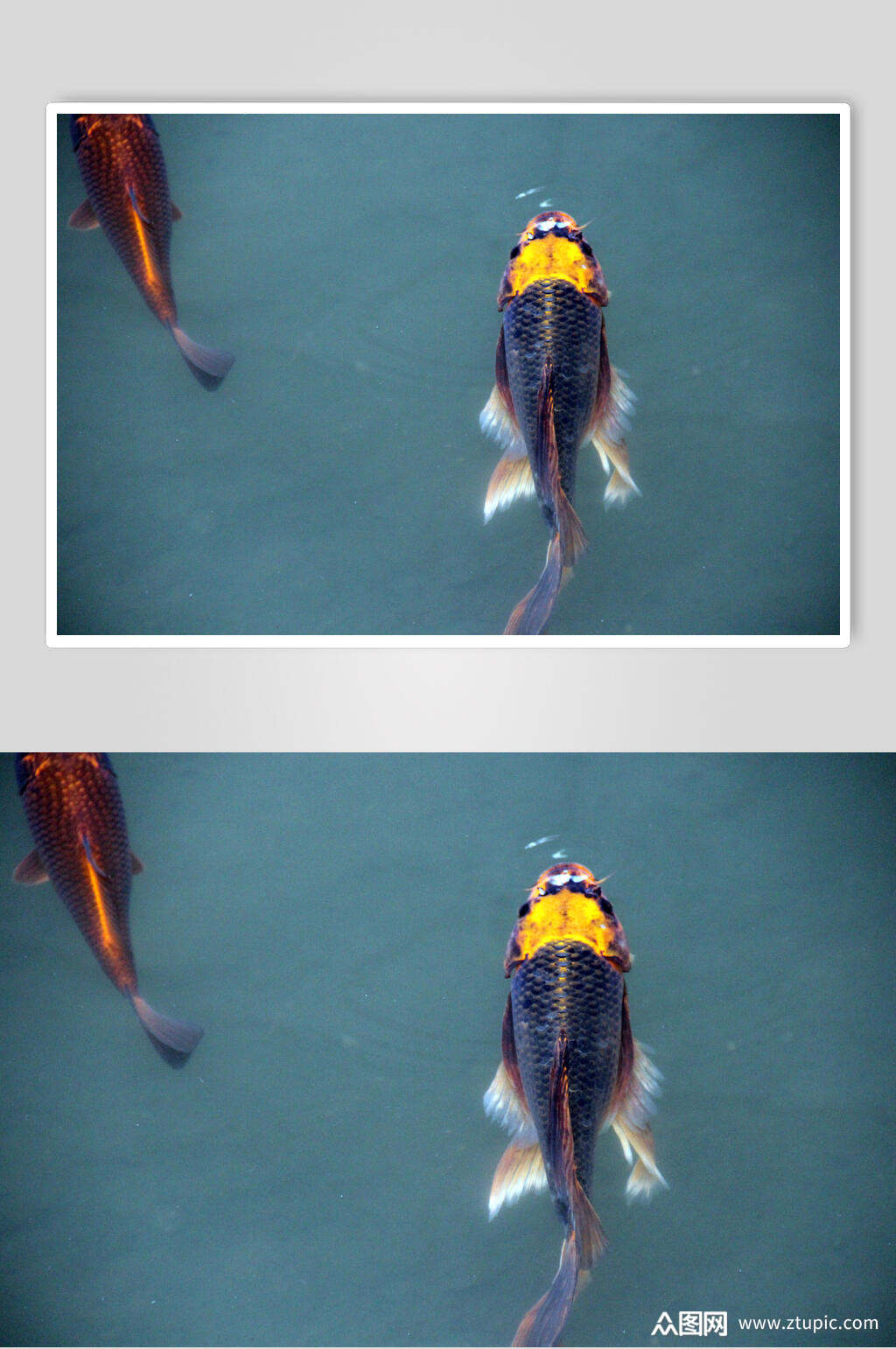 1024_1542竖版 竖屏