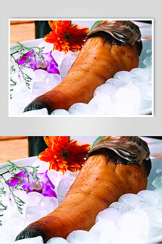 加拿大象拔蚌美食图片