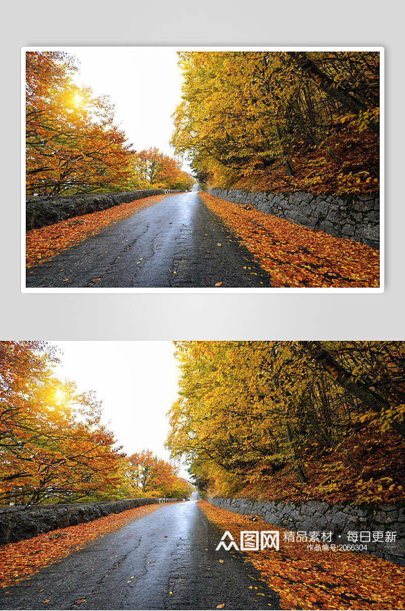 秋天落叶风景图片两联公园大路摄影图素材