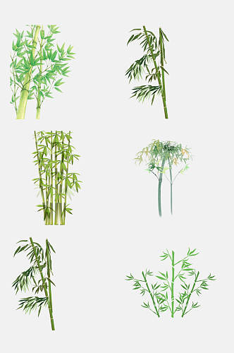 清新竹林植物大熊猫竹子免抠元素