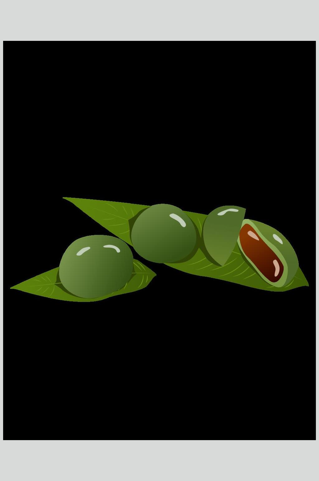 美味清明节豆沙青团矢量插画素材素材