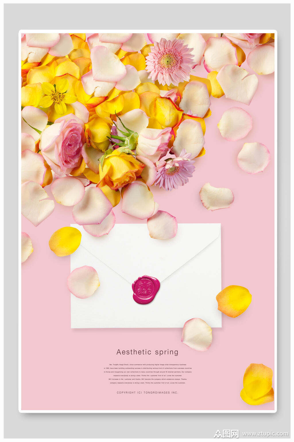 春季海报花朵简洁粉色系海报模板下载-编号2059850-众图网