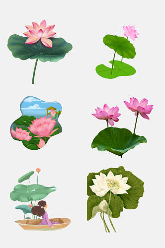 水彩中国风手绘盛夏花卉荷花免抠元素