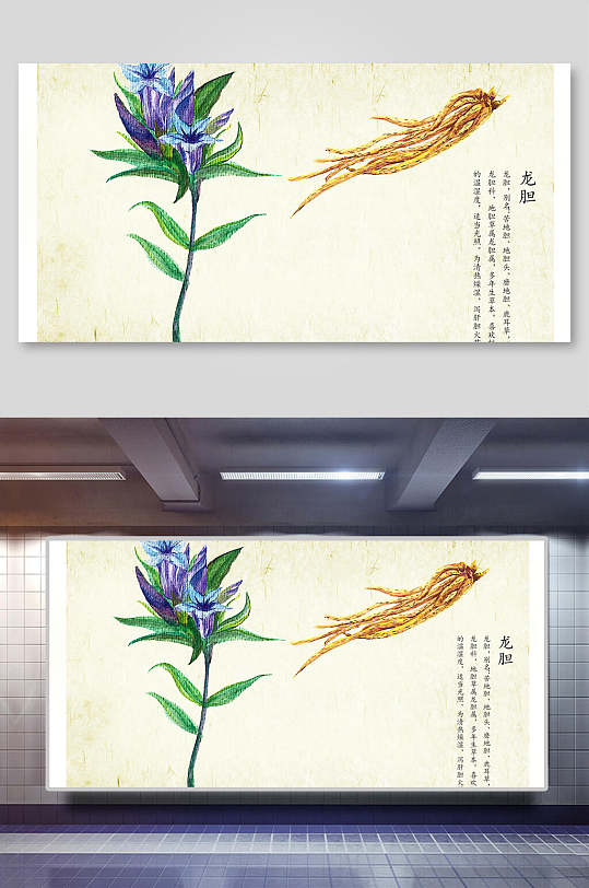 龙胆本草纲目中草药介绍展板