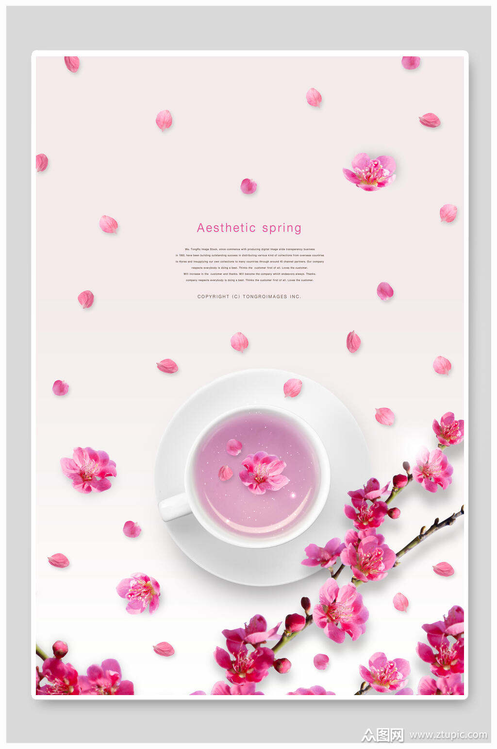 春季海报粉色系花朵简洁海报素材