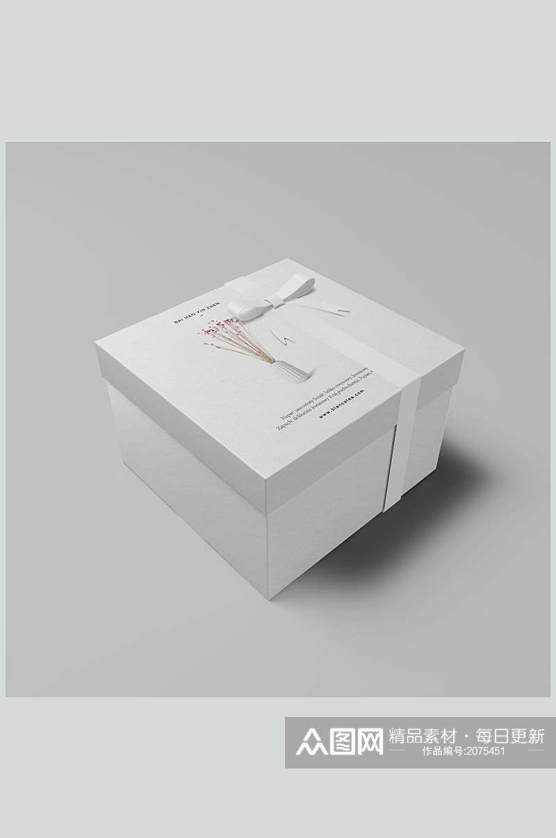 简洁方形盒装包装样机效果图素材