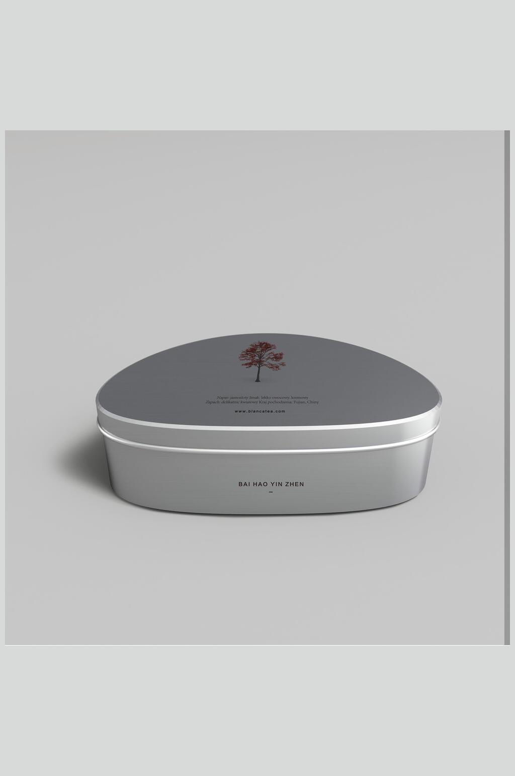 银色高端盒装包装样机效果图素材
