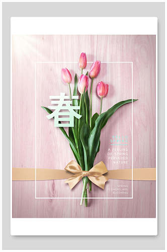 春季海报春节产品宣传促销海报
