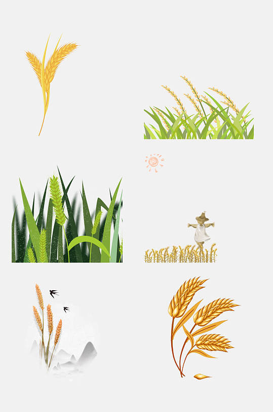清新植物麦穗小麦大米高粱免抠元素