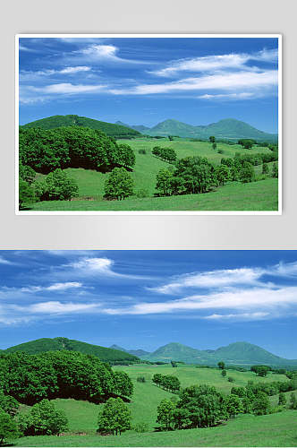 绿色森林草原天空风景图片